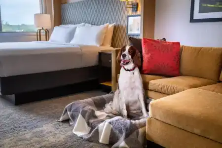 Holiday Inn Charlottesville-Monticello by IHG - 31