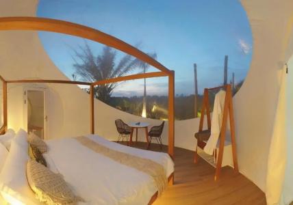 Green Land Bubble Glamping - 41