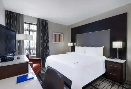 Fairfield Inn & Suites Boston Cambridge - 7