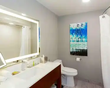 DoubleTree by Hilton Bakersfield - 53