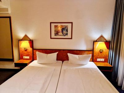 Trip Inn Minerva Frankfurt - 3