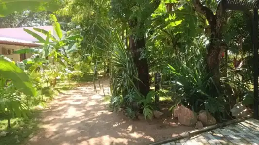 Lucky Beach Resort - 45