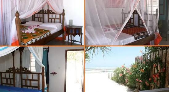 Simba Beach Zanzibar - 42