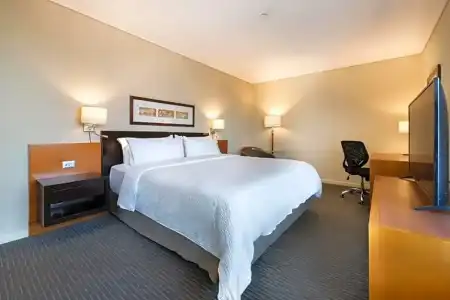 Holiday Inn Express SANTIAGO LAS CONDES by IHG - 108