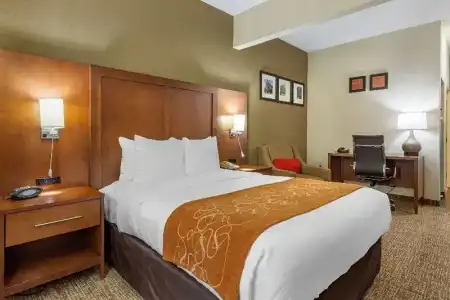 Comfort Suites Raleigh Walnut Creek - 43