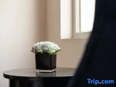 The Flower Boutique & Travel - 62