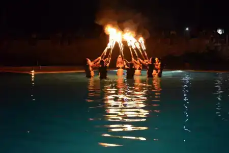Thàlas Club - 33