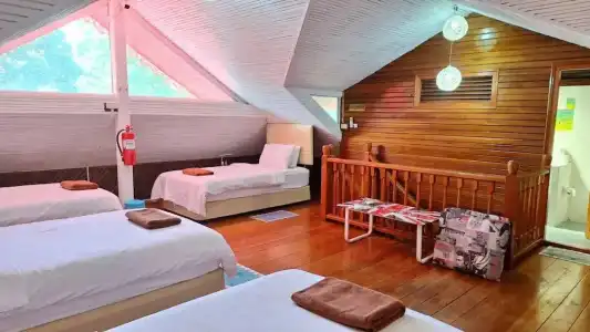 Alpha Resort & Spa - 39