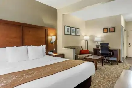 Comfort Suites Raleigh Walnut Creek - 38