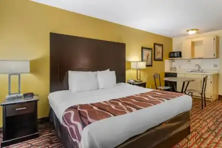 Rodeway Inn Clearwater - Central - 38
