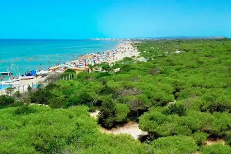 Vivosa Apulia Resort - All Inclusive - 6