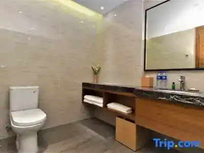 Grand Skylight International Huizhou - 42