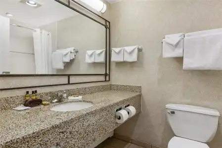 Best Western Plus Silver Saddle Inn - 37