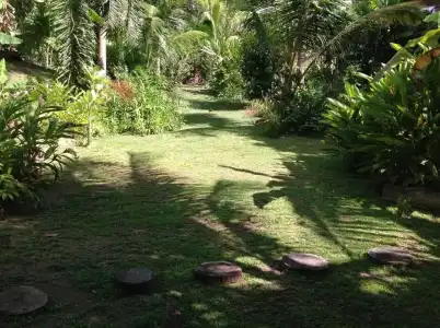 A Peace in Paradise - 9