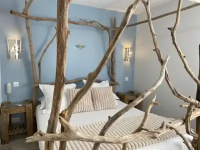 Hôtel Le Neptune en Camargue - 66