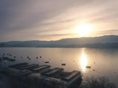 Ameron Zürich Bellerive au Lac - 111