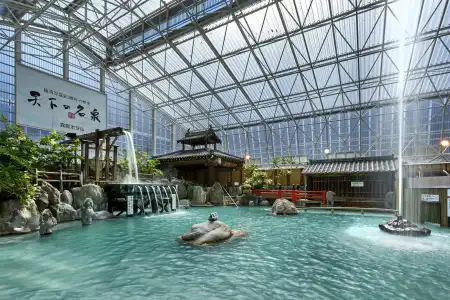Kirishima Onsen Oyado Hana Mizuki - 13