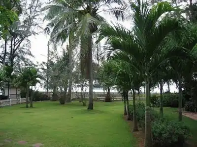 Pakmeng Resort - 15