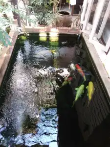 Thanicha Resort - 163