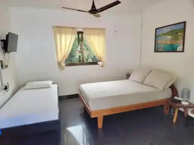 Papaya Guesthouse - 20