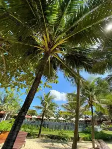 Thanh Kieu Beach Resort - 99