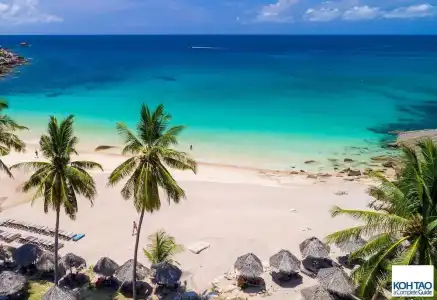 New Pop Villas, Koh Tao - 19