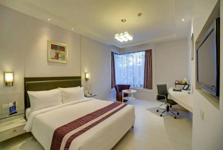 Sarovar Portico Naraina Delhi - 9