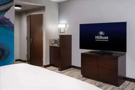 Hilton Americas - - 29
