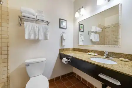 Best Western Plus Hacienda Old Town - 49