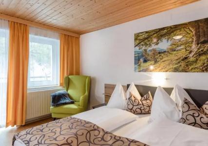 GRUBERS Apartments Gastein - 94