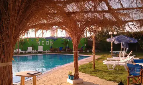 Neon - 16
