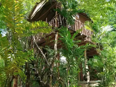 Sigiriya Rock Gate Resort - 95