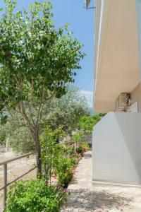 Koks’ Guesthouse - 53
