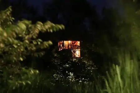 Pinthaliya Resort & Spa - 61