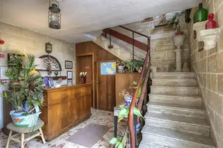 Green Grove Guest House - 1