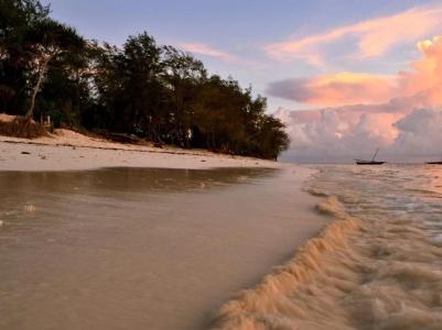 Nest Style Beach Zanzibar - 11