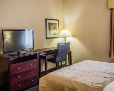 Quality Inn & Suites Peoria North - 34