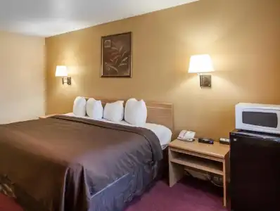 Quality Inn Airport - 21