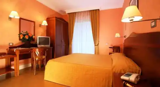 Conchiglia D'oro - 53