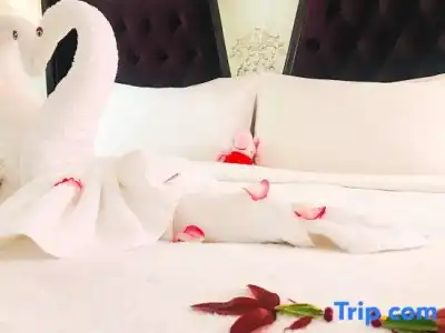 Sofis Jin Yuan - 61