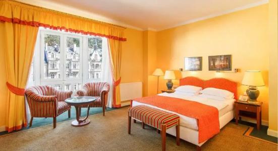 Dvorak Spa & Wellness - 36