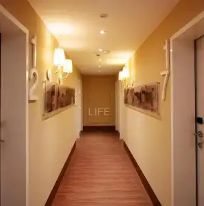 Europa Life - 11