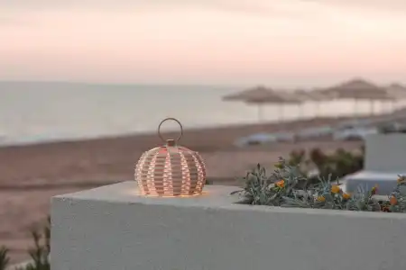 Paloma Orenda - 30