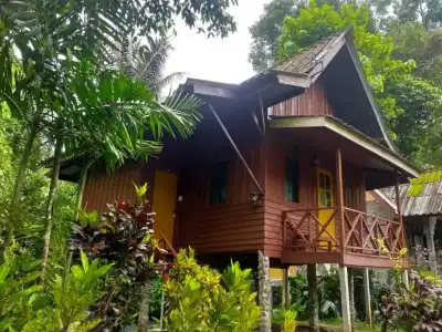 Tree Top River Huts - 87
