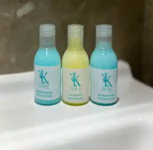 The Lion & Key - 20