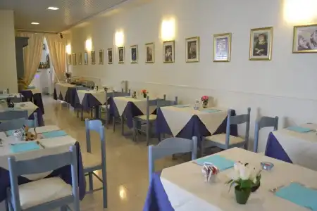 Il Gatto - 24