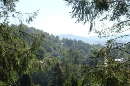 Willa Melisa - 37