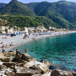 Scilla   - 17
