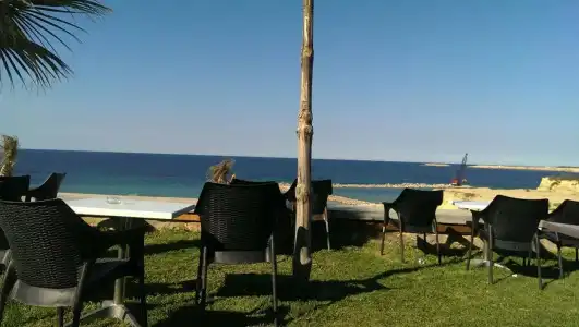 Delphin El Habib - 15