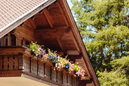 Waldsee - 23